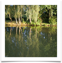 Canal-14 - Denis McAllister